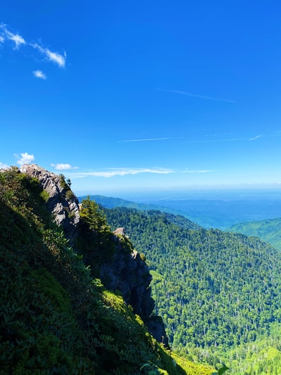 绿山蓝天白天
